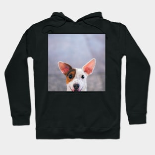 Happy Jack Russel Terrier Hoodie